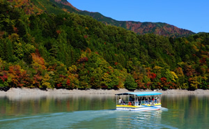 井川の紅葉特集