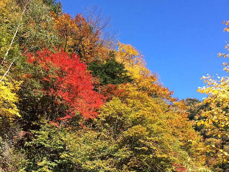 二軒小屋ロッヂ周辺の紅葉