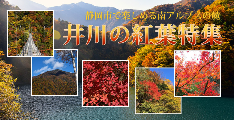 静岡市で楽しめる南アルプスの麓 井川の紅葉特集