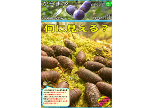 からまつ令和元年度11月号