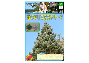 からまつ令和2年度12月号