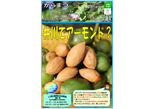 からまつ令和3年度11月号