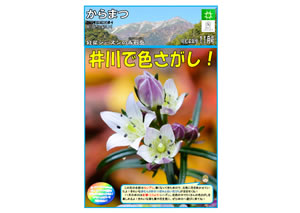 からまつ令和4年度11月号