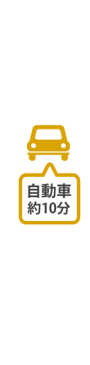 自動車約10分