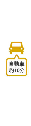 自動車約10分