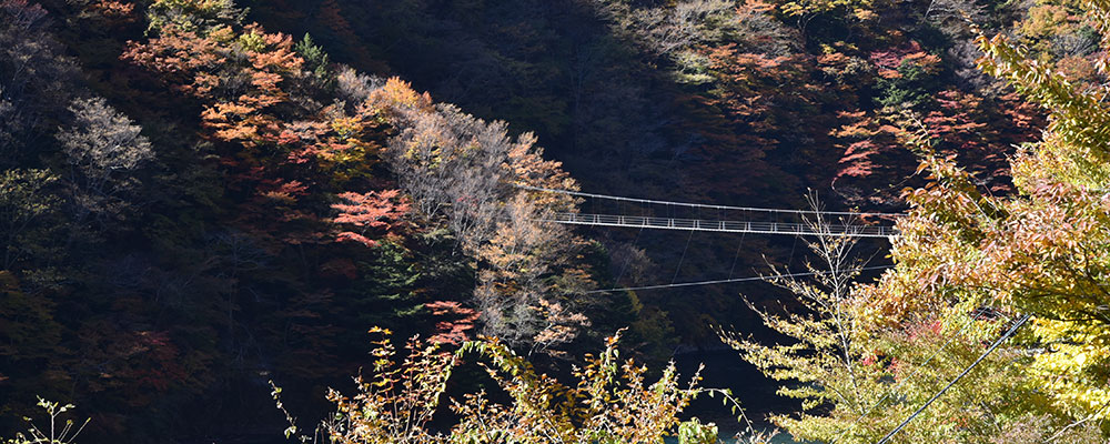 南プス女子旅レポート 畑薙大吊橋